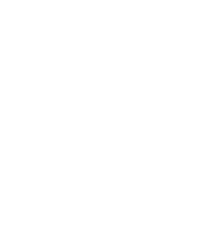 Icon Bildmarke Brandstory Designs
